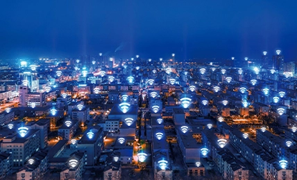 شبكة المؤسسة