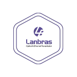 شراكة الوكيل الحصري